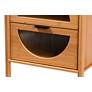 Naresh 17 3/4" Wide Natural Brown 2-Drawer End Table