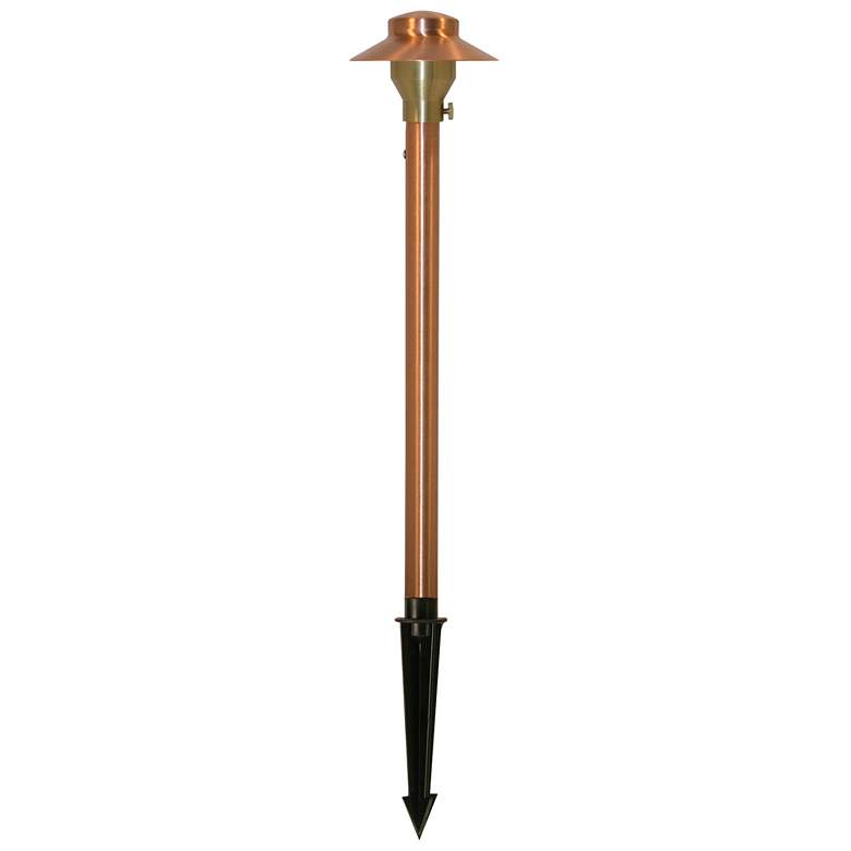 Image 1 Narrow China Hat 16 1/2" High Natural Copper LED Area Light