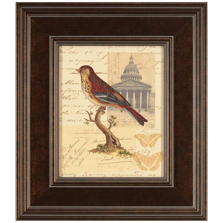 Image 1 Naturalist&#39;s Collage I Framed 16 inch High Bird Wall Art