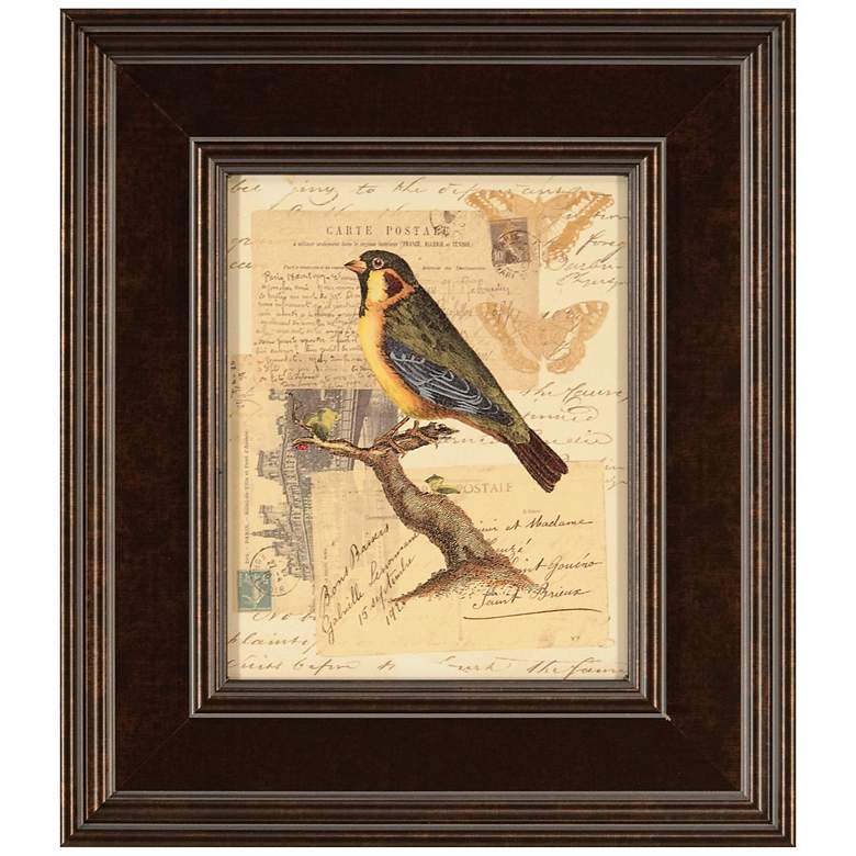 Image 1 Naturalist&#39;s Collage III Framed 16 inch High Bird Wall Art