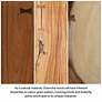 5_Naturals Asnee 18" Wide Natural Accent Stool more views