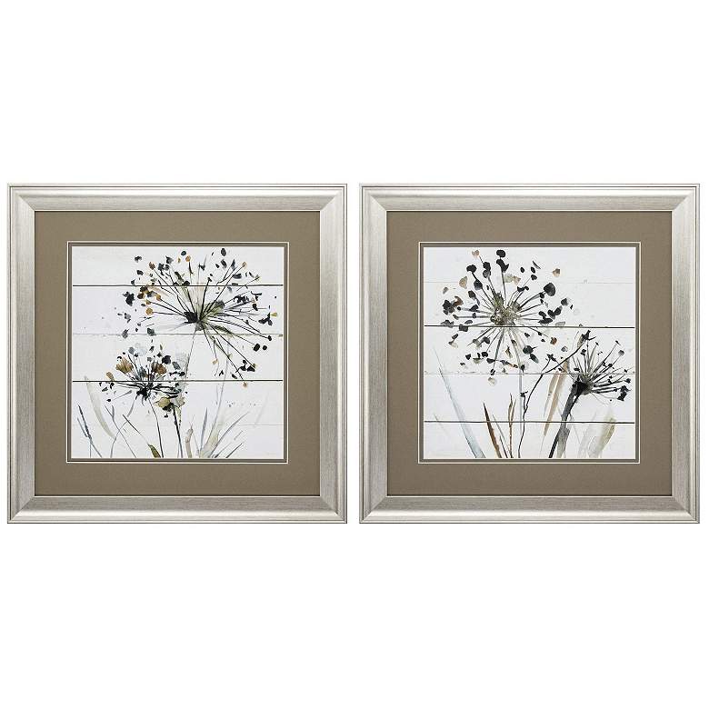Image 1 Natures Lace 19"W x 19"H Framed Art Set of 2