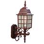 Nautica 1-Light Burled Walnut Wall Light