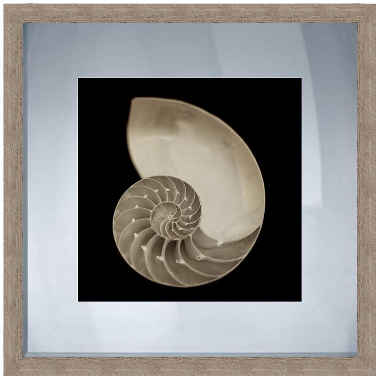 Image 1 Nautilus Black and White Shell 20 inch Square Giclee Wall Art