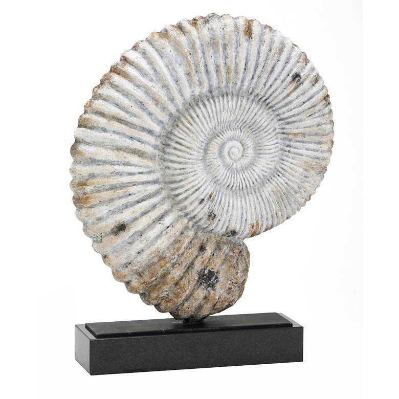 Image 1 Nautilus Fossil Shell 16 inch High Sculpture