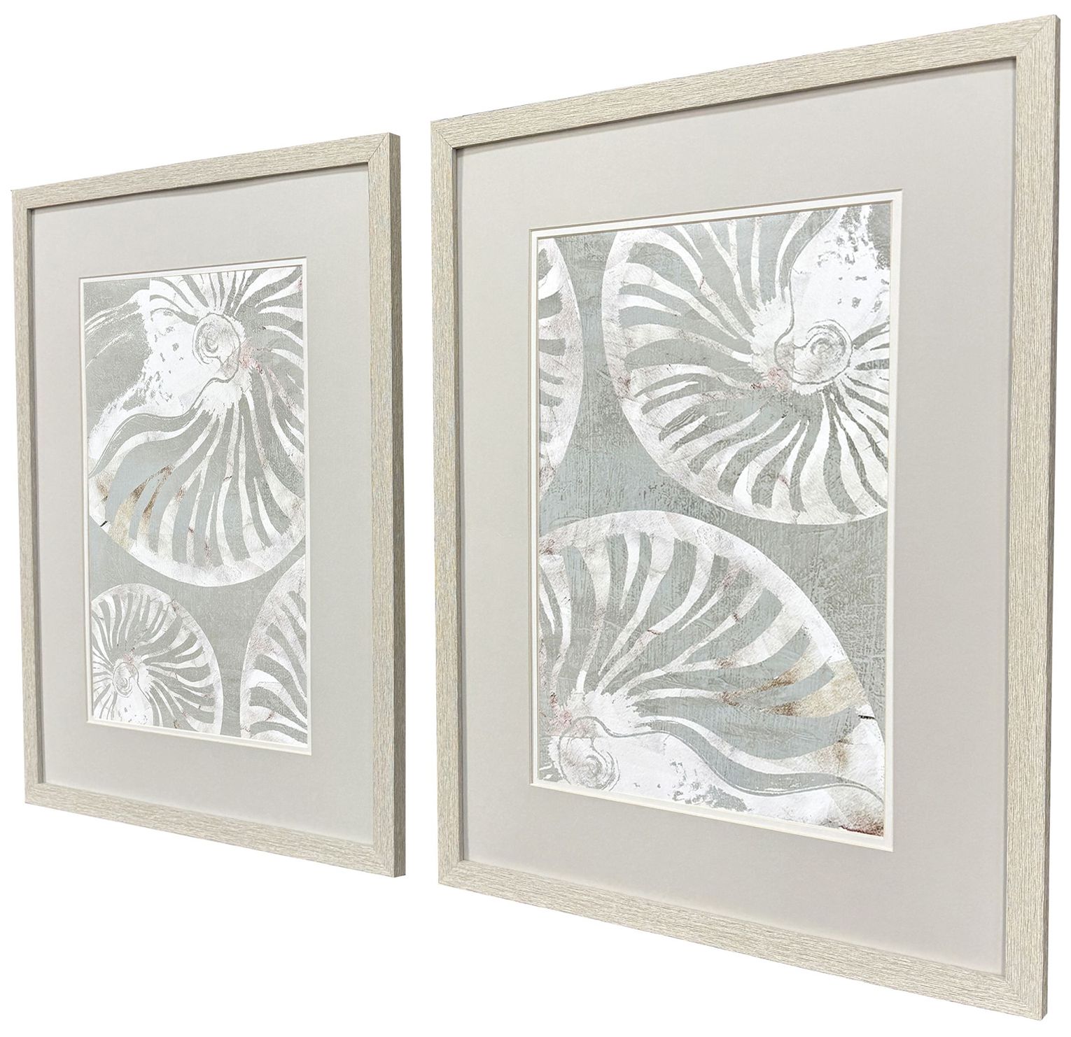 Image 3 Nautilus Shell 19"W x 25"H Framed Art - Set of 2 more views
