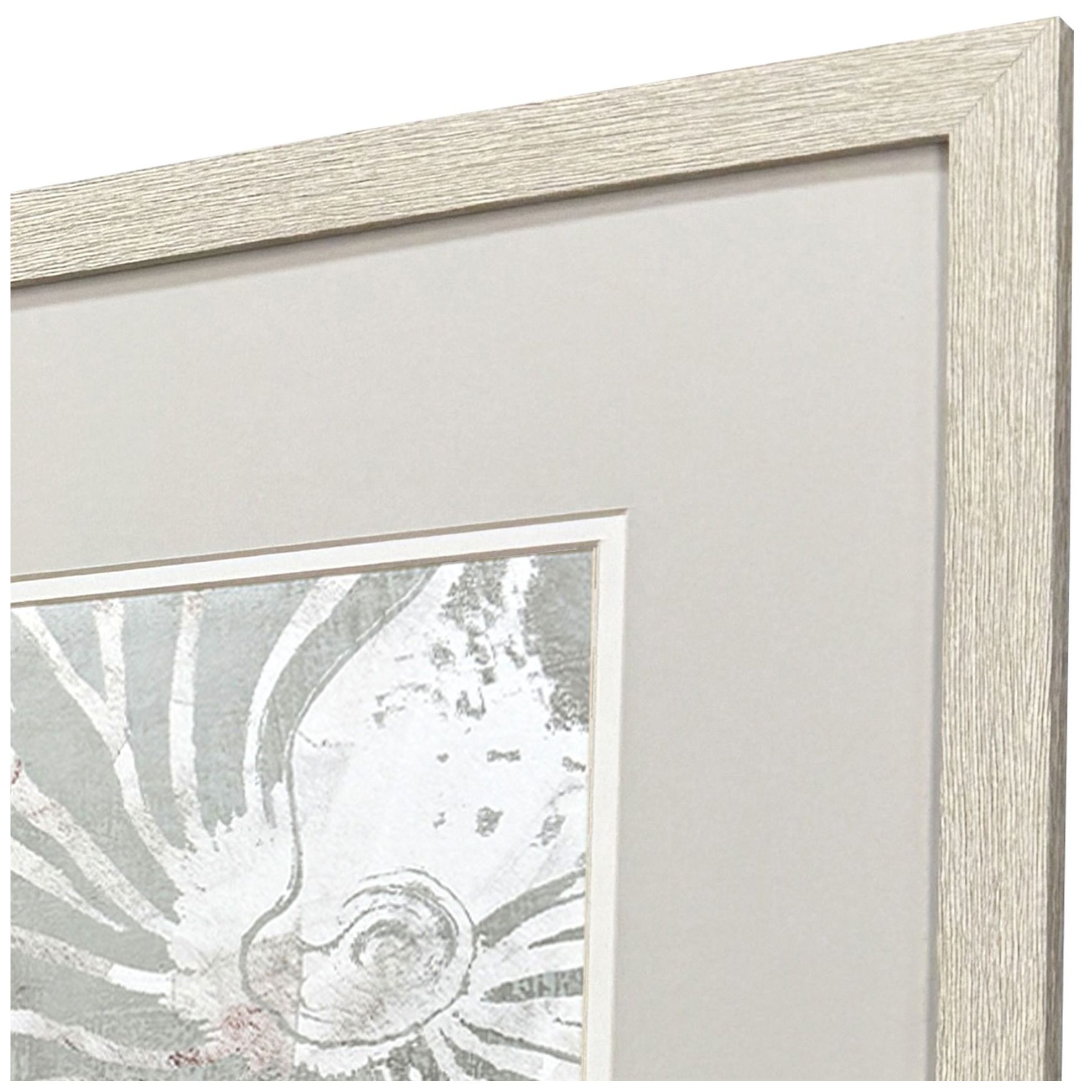 Image 4 Nautilus Shell 19"W x 25"H Framed Art - Set of 2 more views