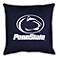 NCAA Penn State Nittany Lions Sidelines Pillow