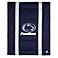 NCAA Penn State Nittany Lions Sidelines Comforter