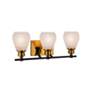 3_Nelson 21.65" Wide 3-Light Brass Bathroom Vanity With Clear Glass Shad more views
