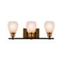4_Nelson 21.65" Wide 3-Light Brass Bathroom Vanity With Clear Glass Shad more views
