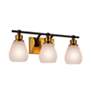 5_Nelson 21.65" Wide 3-Light Brass Bathroom Vanity With Clear Glass Shad more views