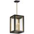 Neoclass 20"H Black And Gold 4-Light Outdoor Hanging Light