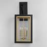 3_Neoclass 29 3/4"H Black and Gold 4-Light Outdoor Wall Light more views
