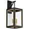 Neoclass 4-Light Outdoor Wall Sconce - Black/Gold