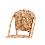 3_Neola 28" Natural Brown Rattan Bar Stool more views