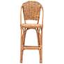 6_Neola 28" Natural Brown Rattan Bar Stool more views