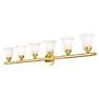 4_Neptune 48" Wide Polished Brass 6-Light Bath Light more views