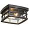 Neri 12" Wide Oil-Rubbed Bronze Outdoor Ceiling Light
