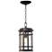 Neri 14 1/2" High Oil-Rubbed Bronze Outdoor Hanging Light