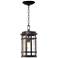 Neri 14 1/2" High Oil-Rubbed Bronze Outdoor Hanging Light