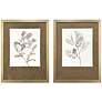 1_Neutral Botanical I 25"W x 33"H Framed Art Set of 2