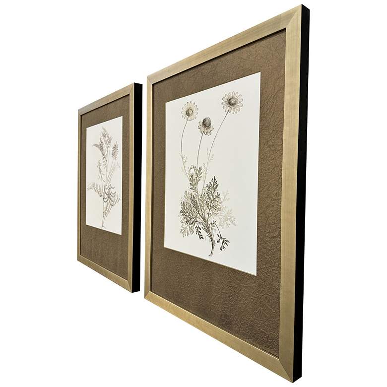Image 2 Neutral Botanical II 25"W x 33"H Framed Art Set of 2 more views