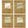Neutral Galaxy II 20"W x 24"H Wall Sculpture - Set of 4