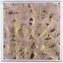 Neutral Gold 30" Square Shadow Box Giclee Canvas Wall Art