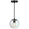 Neva 60 Watt 1-Light Matte Black Globe Pendant Light with Glass Shade