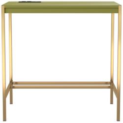 Nevinna 30&quot; Wide Gold and Olive Writing Desk with USB Port
