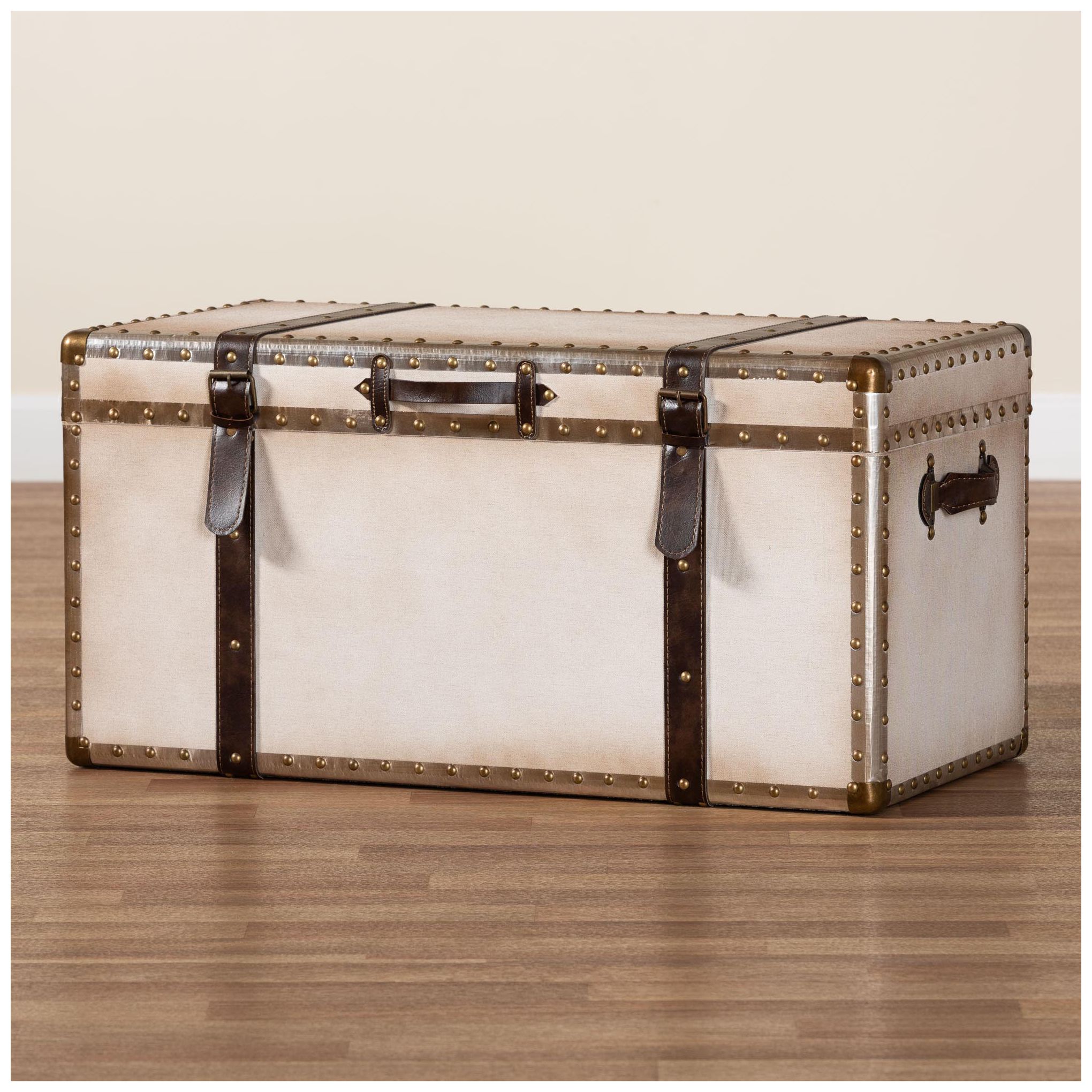 Nevio 32" Wide Weathered White Canvas Vintage Storage Trunk