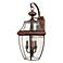 Newbury 22 1/2" High Aged Copper 3-Light Outdoor Wall Light