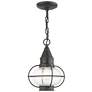 2_Newburyport 11 3/4" High Charcoal Outdoor Hanging Light