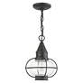 3_Newburyport 11 3/4" High Charcoal Outdoor Hanging Light more views