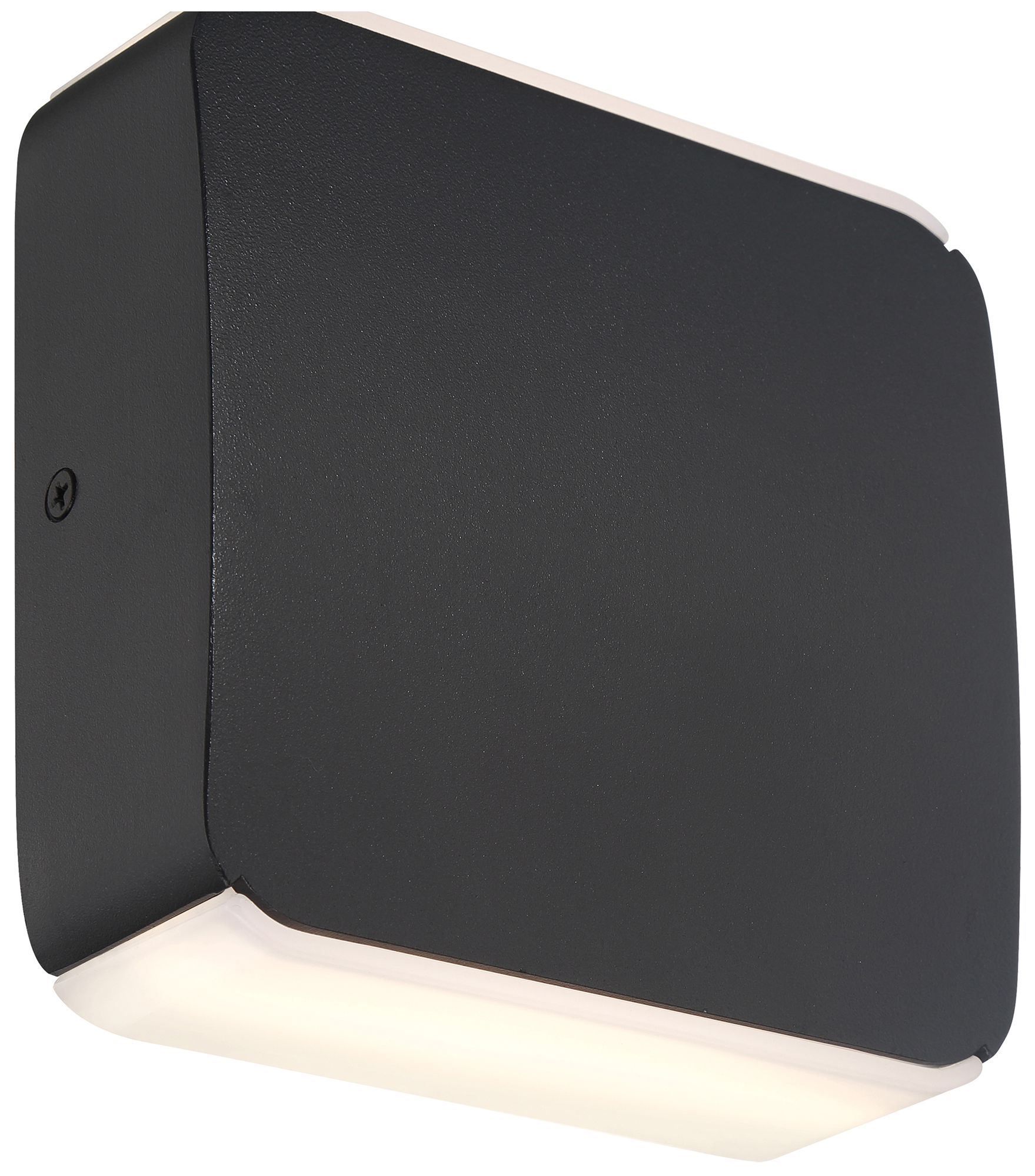 Newport 5.5" High 2-Light Black, White L