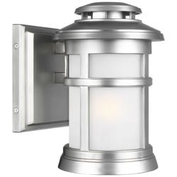 Newport 9&quot; High Painted Brushed Steel Outdoor Wall Light