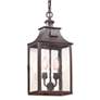 2_Newton 19" High Soft Off Black 2-Light Outdoor Hanging Light more views