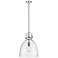 Newton Bell 14" Wide Stem Hung Polished Nickel Pendant With Seedy Shad