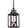 Newton Collection 18 5/8" High Outdoor Hanging Light