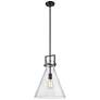 Newton Cone 14" Wide Stem Hung Matte Black Pendant With Seedy Shade