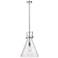 Newton Cone 14" Wide Stem Hung Polished Nickel Pendant With Seedy Shad