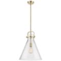 Innovations Lighting Newton Cone Brown Collection
