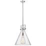 Newton Cone 16" Wide Stem Hung Polished Nickel Pendant With Seedy Shad