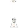 Newton Cone 8" Wide Polished Nickel Cord Hung Pendant With Seedy Shade