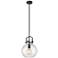 Newton Sphere 10" Wide Stem Hung Matte Black Pendant With Seedy Shade
