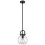 Newton Sphere 8" Wide Stem Hung Matte Black Pendant With Seedy Shade