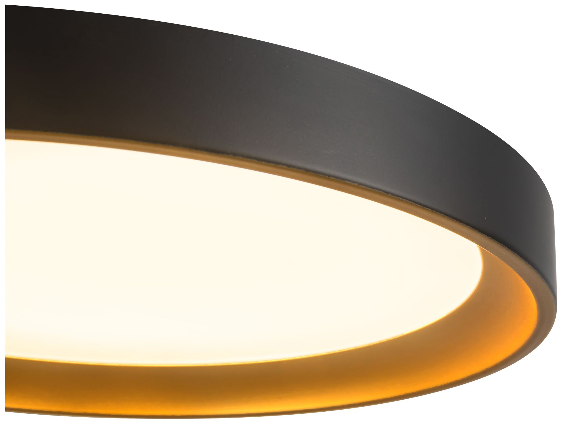 Nix 12-in Black dimmable LED Flush Mount with Gold Accents