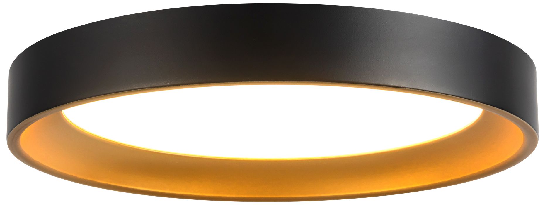 Nix 9-in Black dimmable LED Flush Mount with Gold Accents
