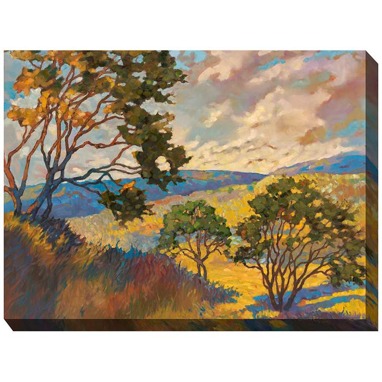 Image 2 No Boundaries 40" Wide Rectangular Outdoor Canvas Wall Art
